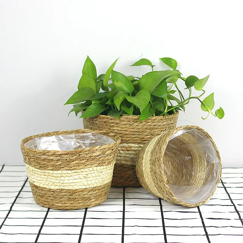 Handmade plant basket