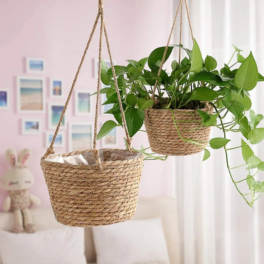 Hanging Plant Basket Pot