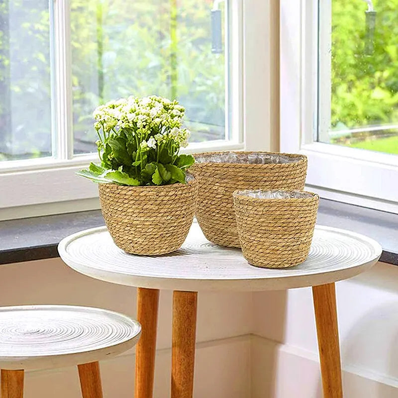 Handmade plant basket