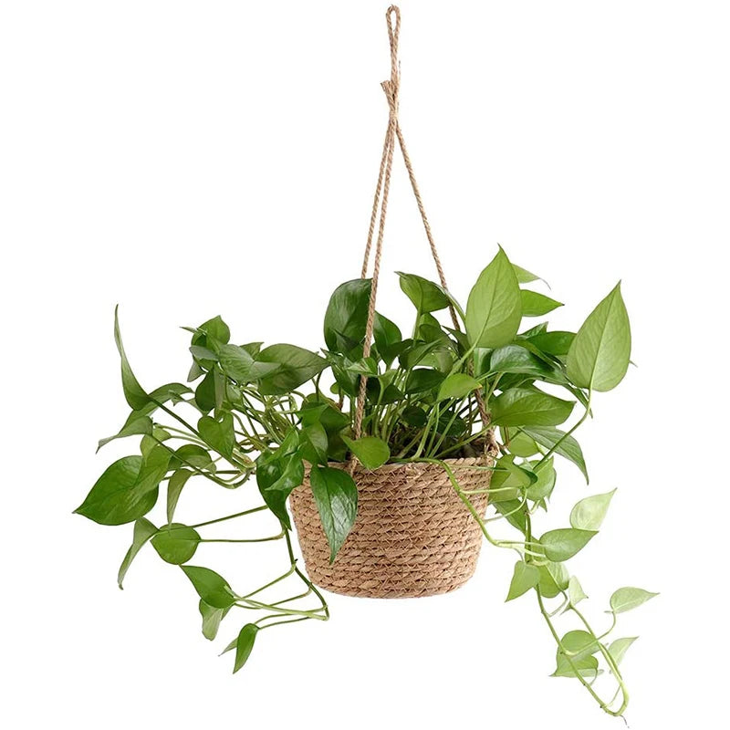 Hanging Plant Basket Pot