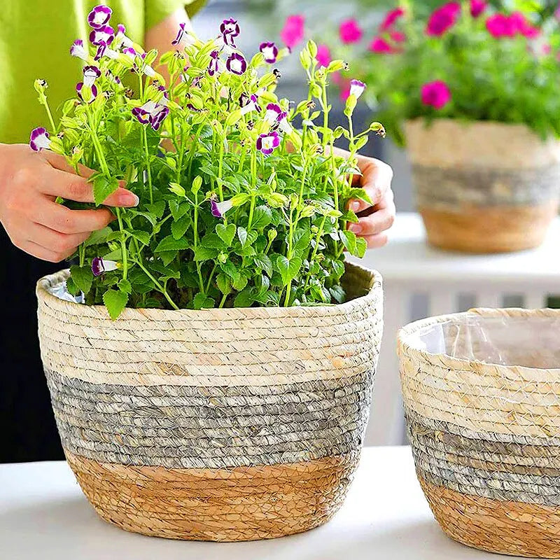 Handmade plant basket