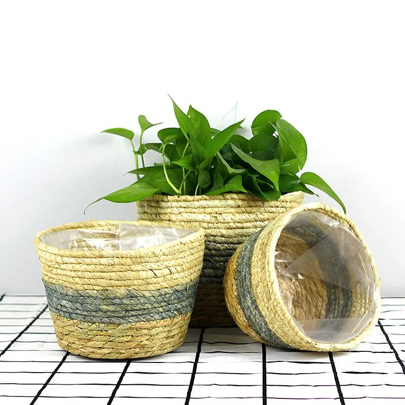 Handmade plant basket