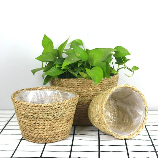 Handmade plant basket